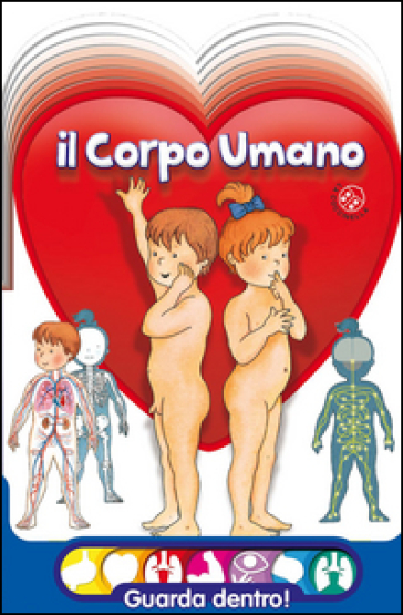 Il Corpo Umano Anna Curti Giovanna Mantegazza Libro Mondadori Store