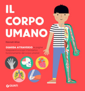 Il corpo umano. Ediz. a colori - Alice Hannah