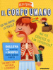 Il corpo umano. Ediz. a colori