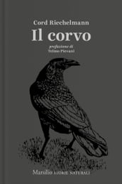 Il corvo