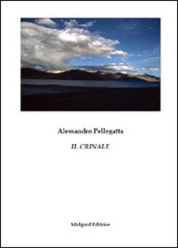 Il crinale - Alessandro Pellegatta