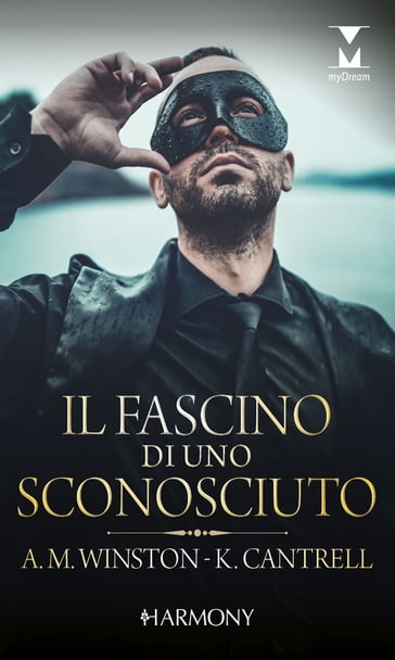 Il fascino di uno sconosciuto - Anne Marie Winston - Kat Cantrell