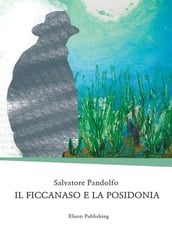 Il ficcanaso e la posidonia