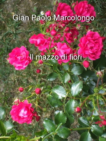 Il mazzo di fiori - Gian Paolo Marcolongo