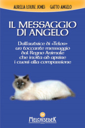Il messaggio di Angelo