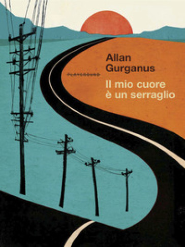 Il mio cuore è un serraglio - Allan Gurganus