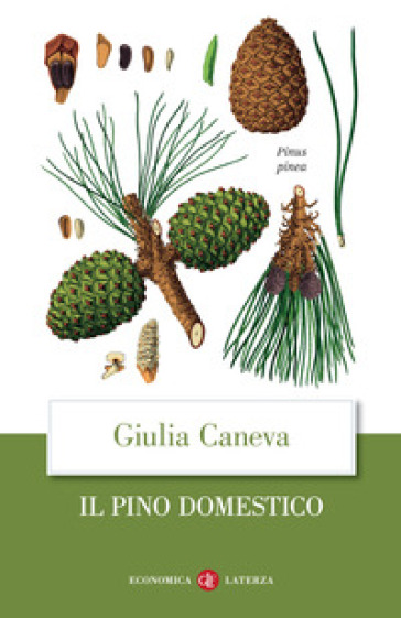Il pino domestico - Giulia Caneva