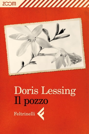 Il pozzo - Doris Lessing