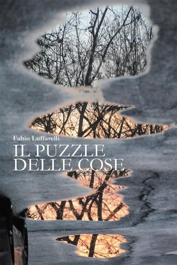 Il puzzle delle cose - Fabio Luffarelli