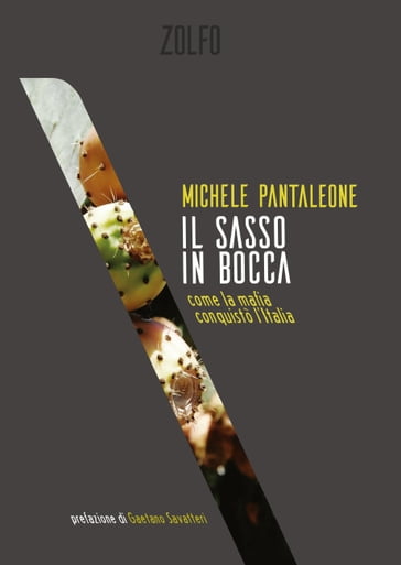 Il sasso in bocca - Gaetano Savatteri - Michele Pantaleone