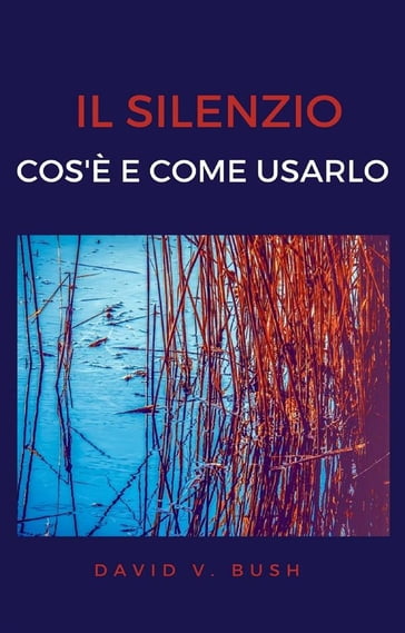 Il silenzio - David V. Bush