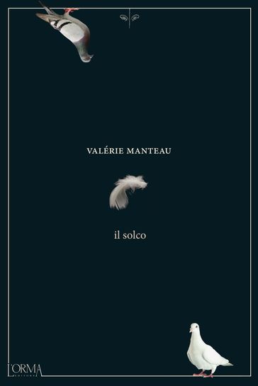 Il solco - Valérie Manteau