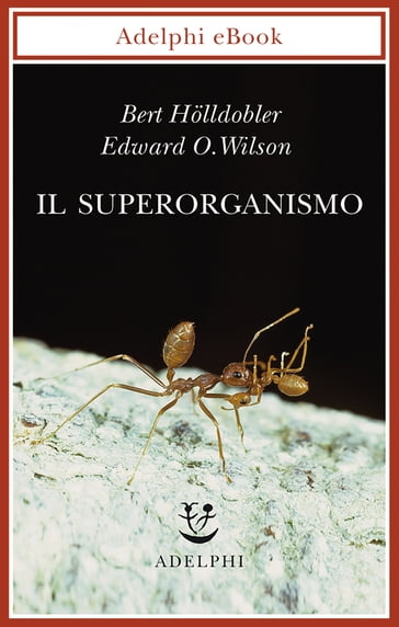 Il superorganismo - Bert Holldobler - Edward O. Wilson