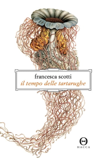 Il tempo delle tartarughe - Francesca Scotti