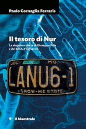 Il tesoro di Nur