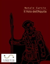 Il volo dell aquila