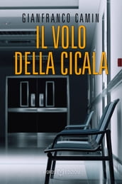 Il volo della cicala