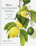 Illustrazione botanica. Ediz. illustrata