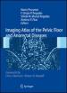 Imaging atlas of the pelvic floor and anorectal diseases