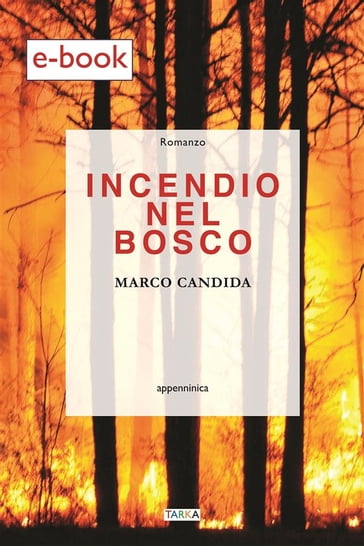 Incendio nel bosco - Marco Candida