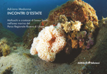 Incontri d'estate: molluschi e crostacei di basso fondo nell'area marina del Parco Riviera di Ulisse - Adriano Madonna