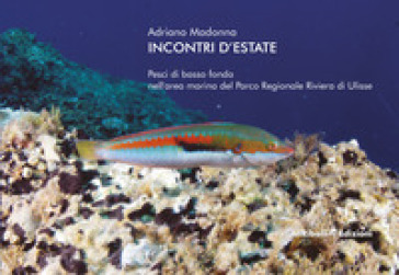 Incontri d'estate: pesci di basso fondo nell'area marina del Parco Regionale Riviera di Ulisse - Adriano Madonna