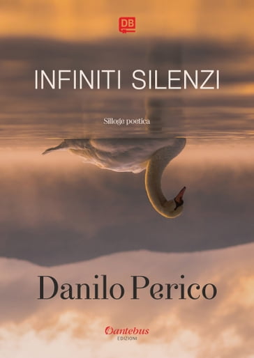 Infiniti silenzi - Danilo Perico
