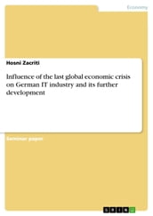 Influence of the last global economic crisis on German IT industry and its further development