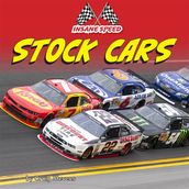 Insane Speed: Stock Cars