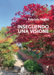 Inseguendo una visione