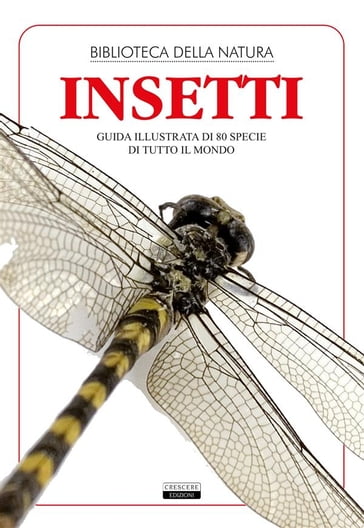 Insetti - Edizioni Crescere