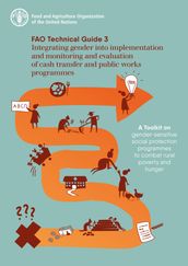 Integrating Gender into Implementation and Monitoring and Evaluation of Cash Transfer and Public Works Programmes: Fao Technical Guide 3