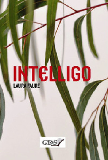 Intelligo - Laura Faure