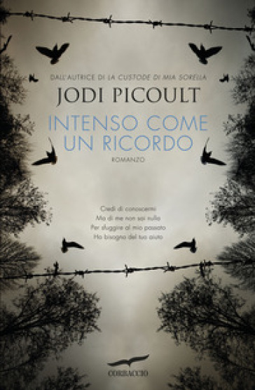 Intenso come un ricordo - Jodi Picoult