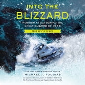 Into the Blizzard