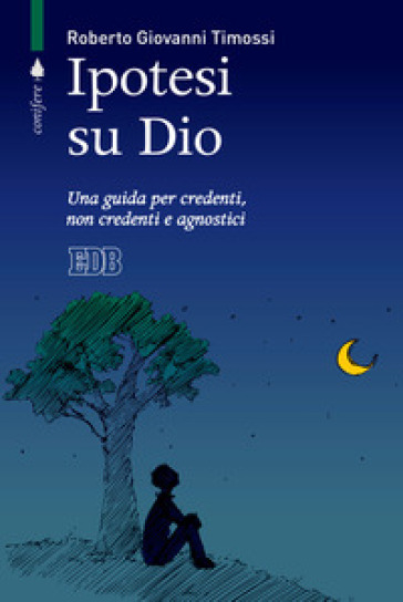 Ipotesi su Dio. Una guida per credenti, non credenti e agnostici - Roberto Giovanni Timossi