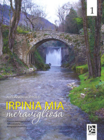 Irpinia mia meravigliosa. Ediz. illustrata. 1. - Alfonso Cuoppolo