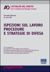 Ispezioni sul lavoro procedure e strategie di difesa