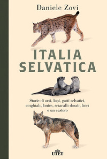 Italia selvatica. Storie di orsi, lupi, gatti selvatici, cinghiali, lontre, sciacalli dorati, linci e un castoro - Daniele Zovi | 