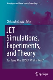 JET Simulations, Experiments, and Theory