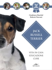 Jack Russell Terrier