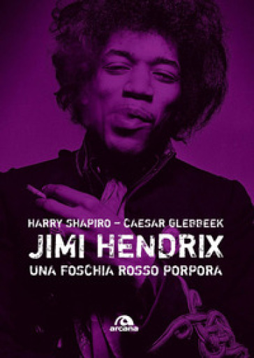 Jimi Hendrix. Una foschia rosso porpora - Harry Shapiro - Caesar Glebbeek