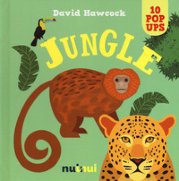 Jungle. Libro pop-up. Ediz. a colori - David Hawcock