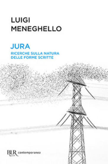 Jura: ricerche sulla natura delle forme scritte - Luigi Meneghello