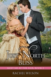 Just North of Bliss (Meet Me at the Fair, Book