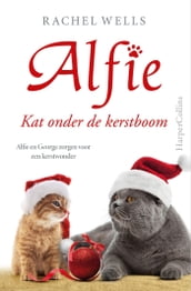 Kat onder de kerstboom