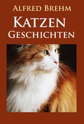 Katzengeschichten