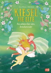 Kiesel, die Elfe - Die wilden Vier vom Drachenmeer