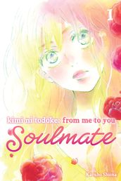 Kimi ni Todoke: From Me to You: Soulmate, Vol. 1