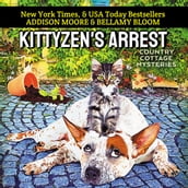 Kittyzen s Arrest